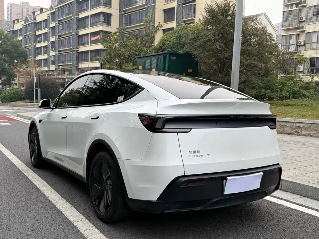 Tesla Model Y — миниатюра 4
