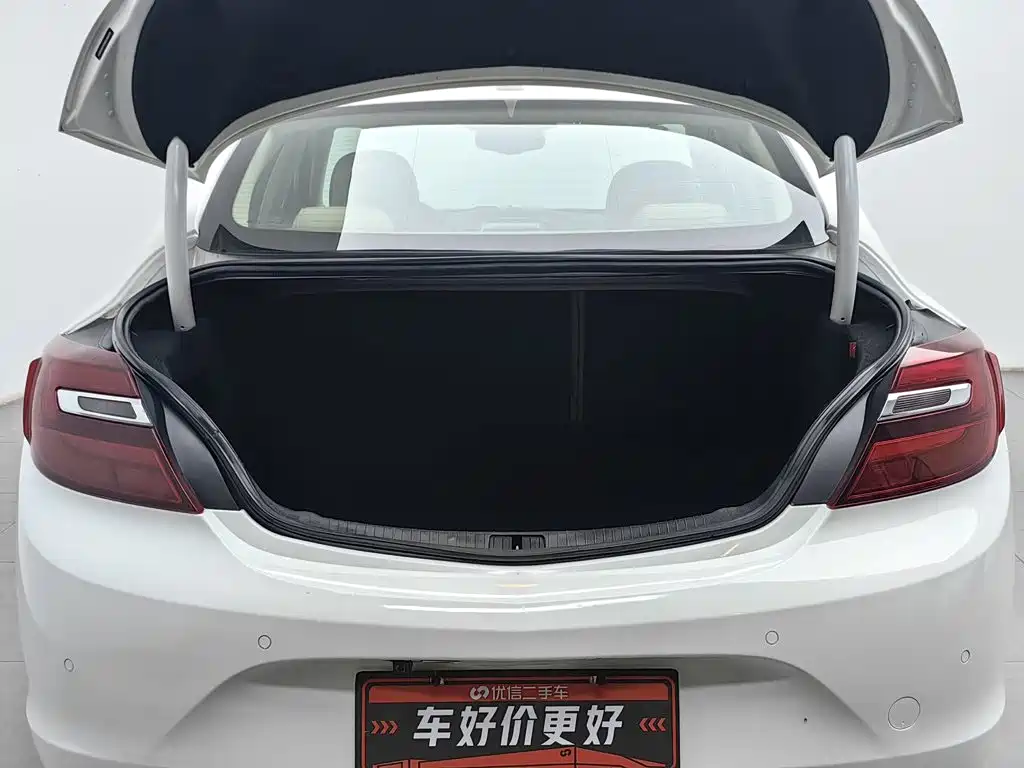 Buick Regal — миниатюра 16