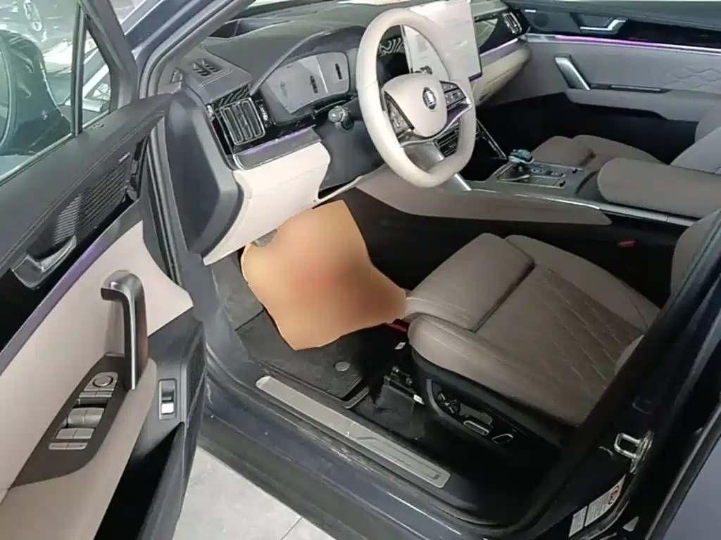 BYD Tang New Energy — миниатюра 16