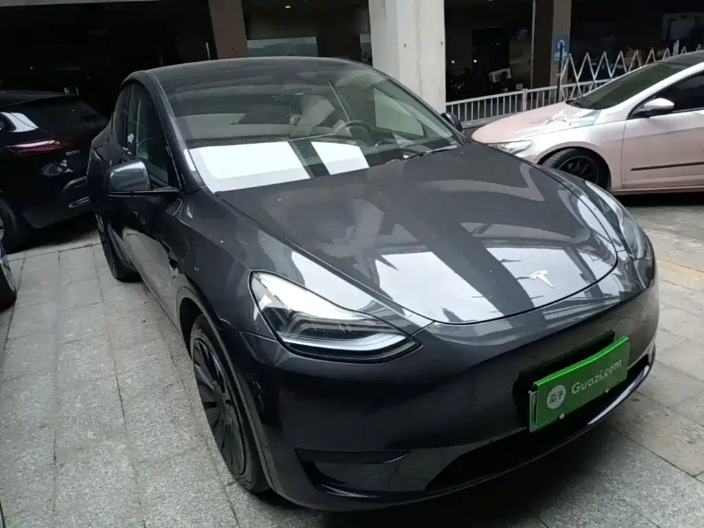 Tesla Model Y — миниатюра 4