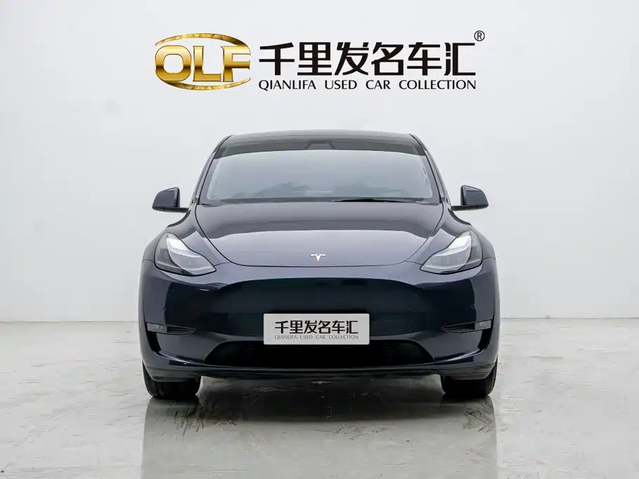 Tesla Model Y — миниатюра 2