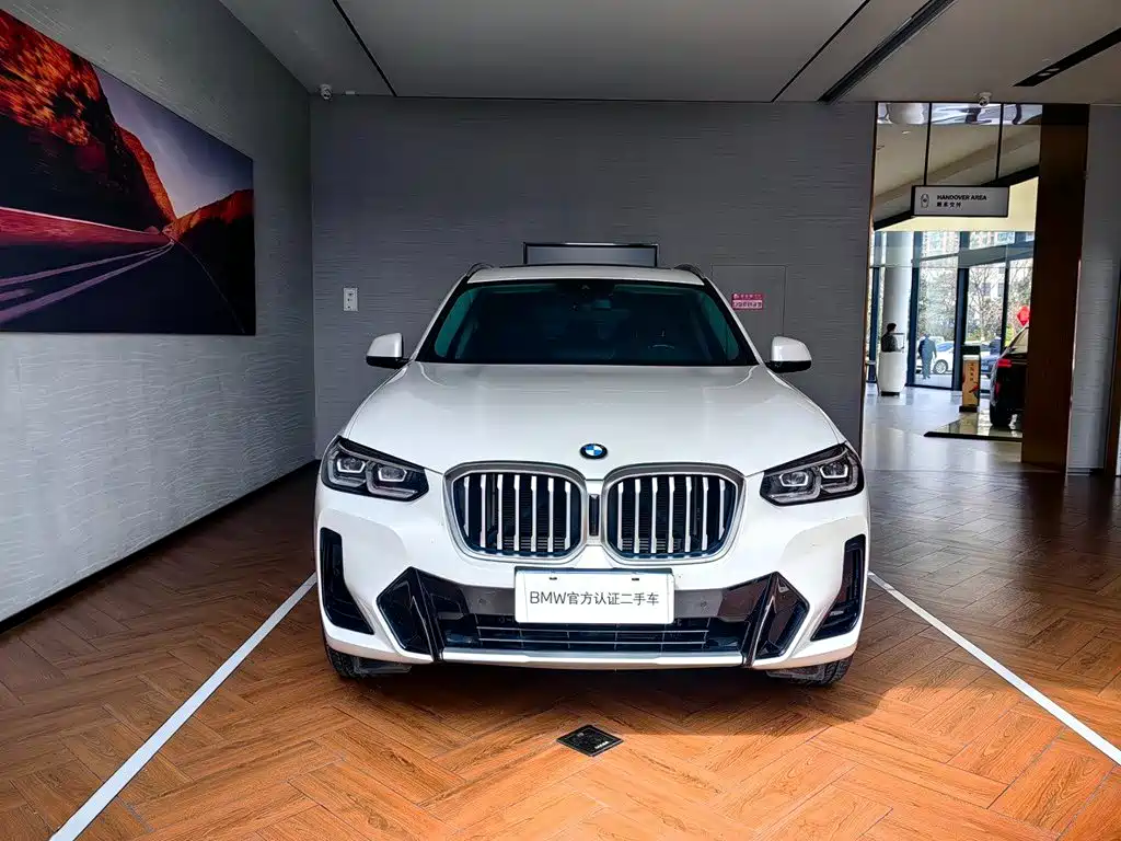 BMW X3 — миниатюра 2