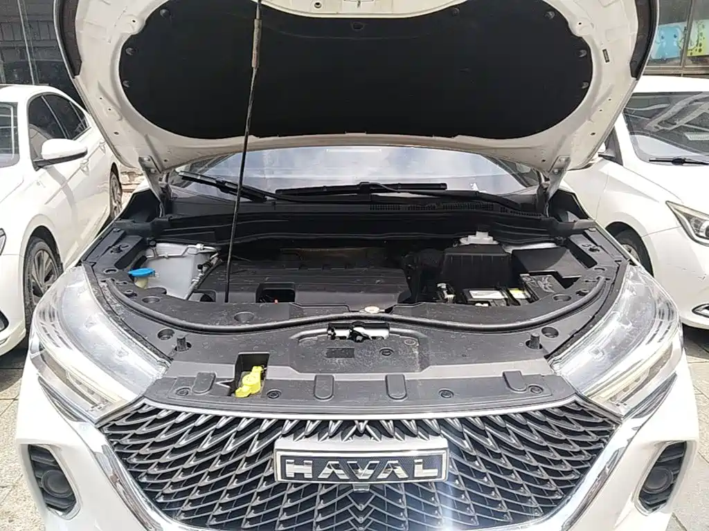 Haval M6 — миниатюра 20