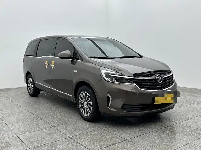 Buick GL8 — миниатюра 3