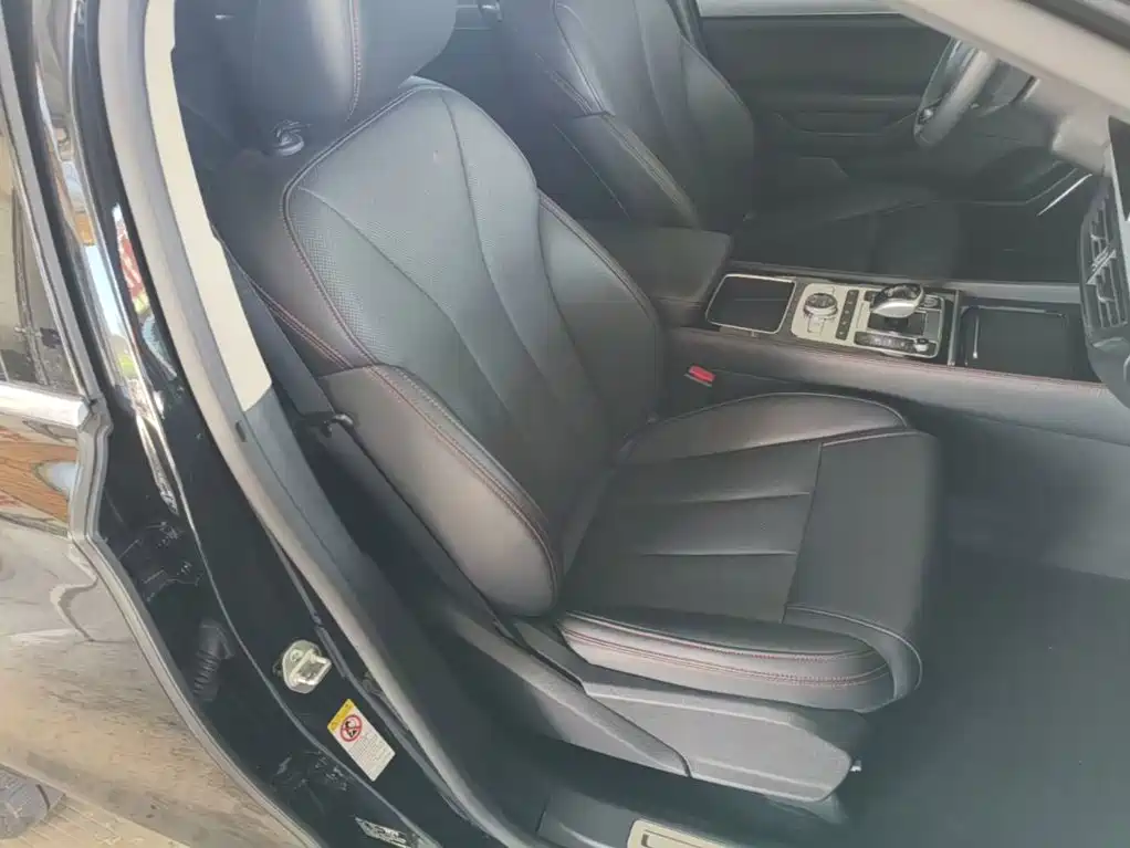 BYD Tang New Energy — миниатюра 25