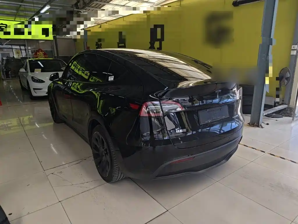 Tesla Model Y — миниатюра 5
