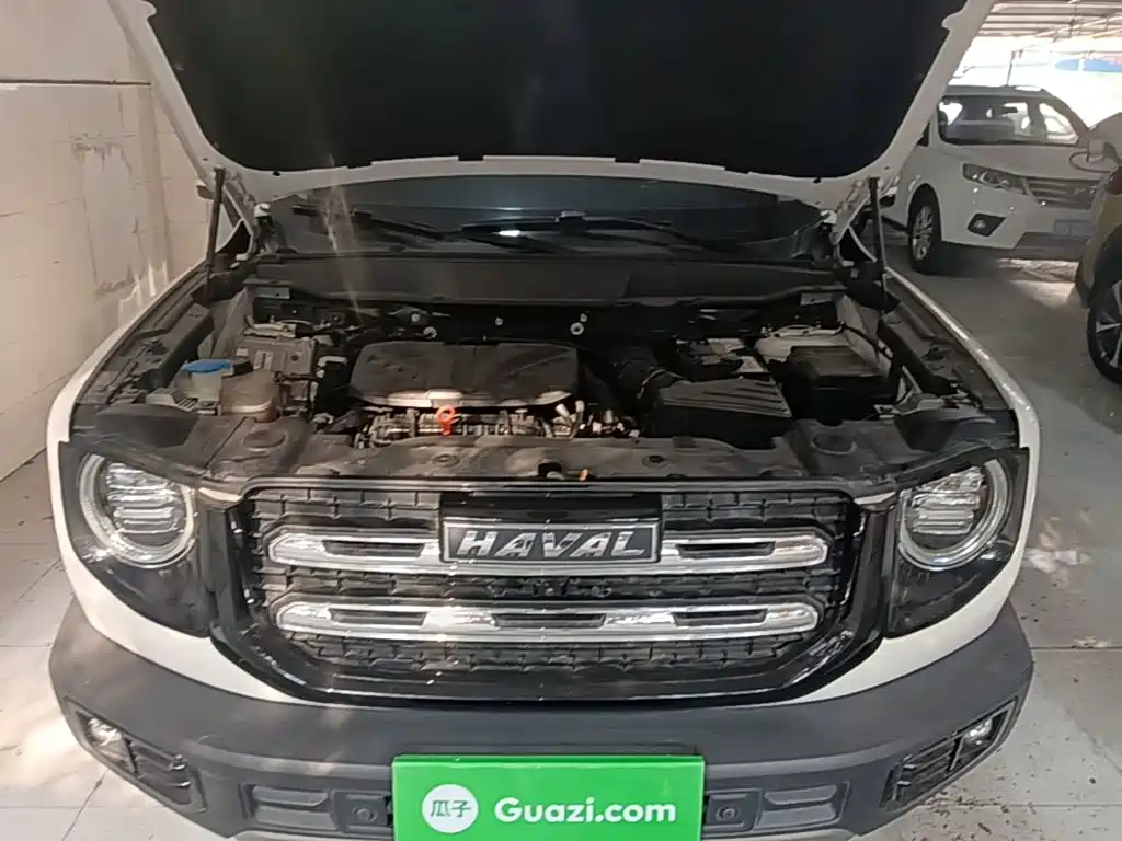 Haval Big Dog — миниатюра 20