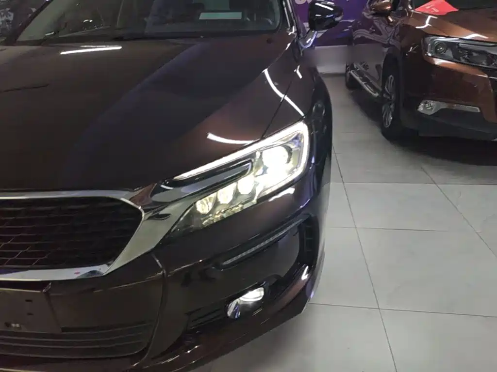 DS DS 5LS — миниатюра 24