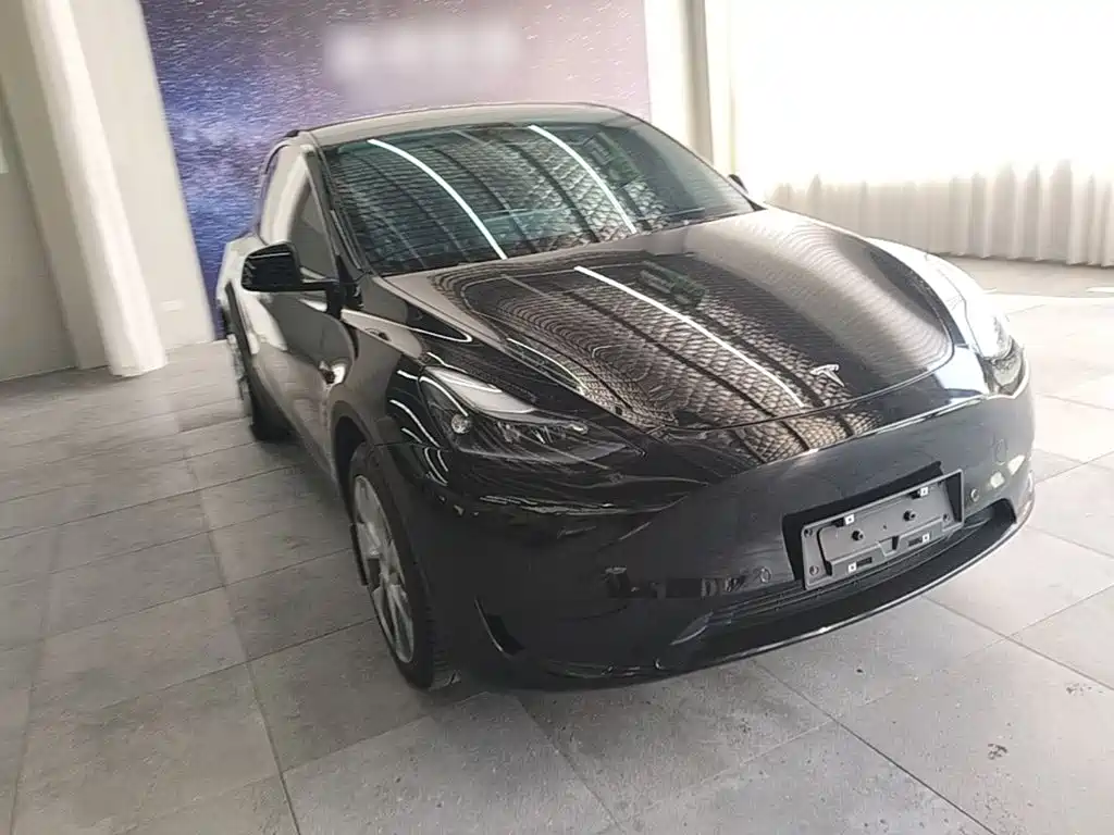 Tesla Model Y — миниатюра 4