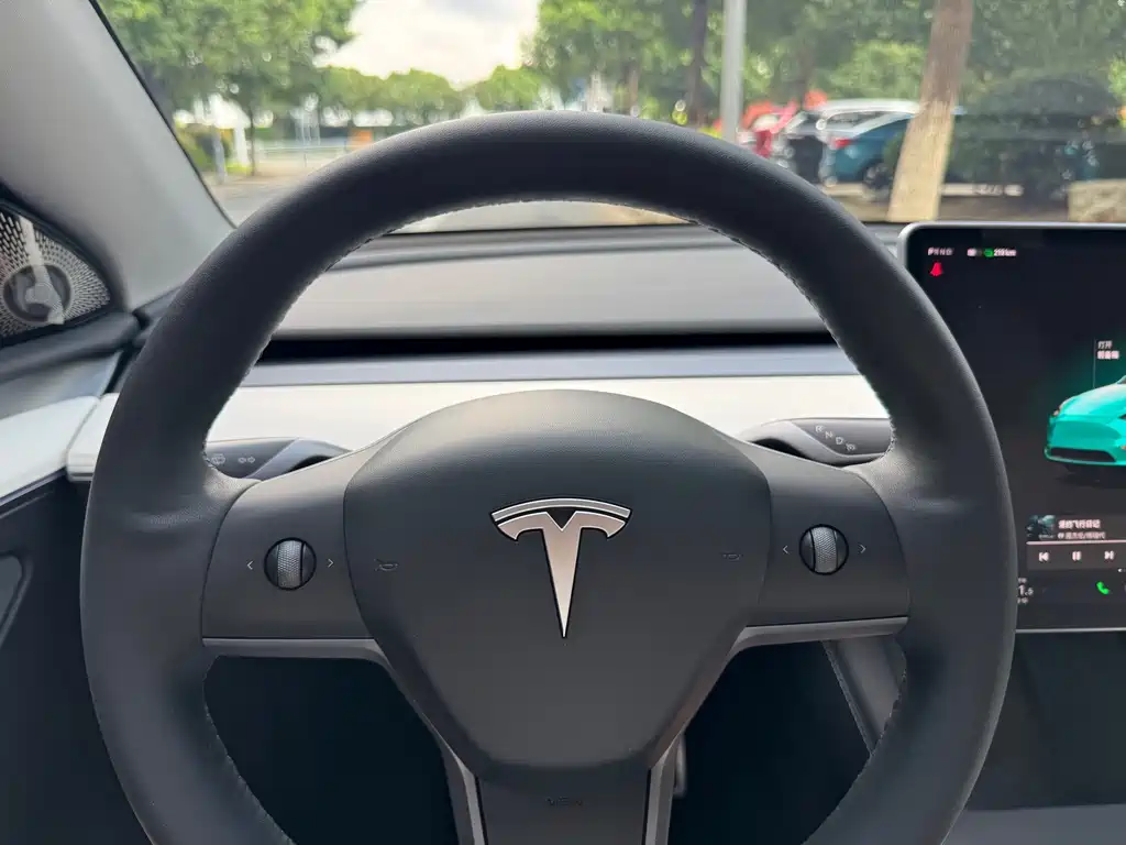 Tesla Model Y — миниатюра 10