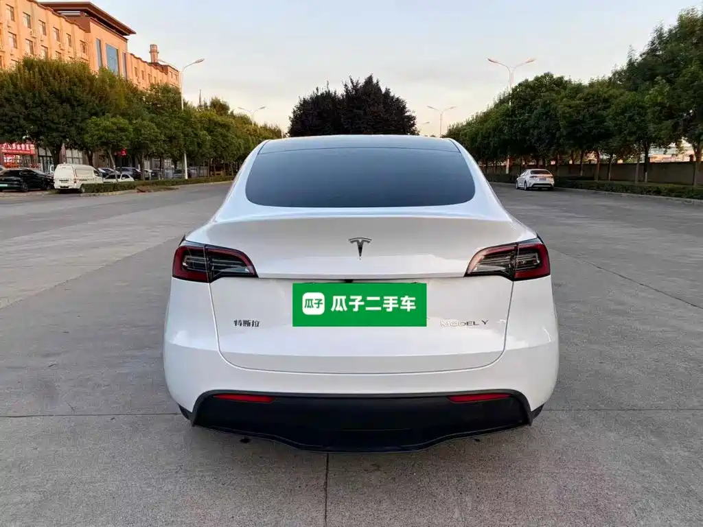 Tesla Model Y — миниатюра 6