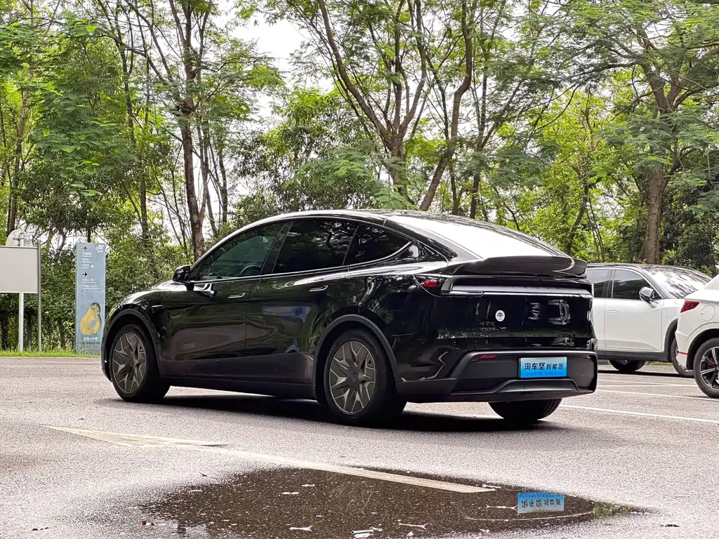 Tesla Model Y L