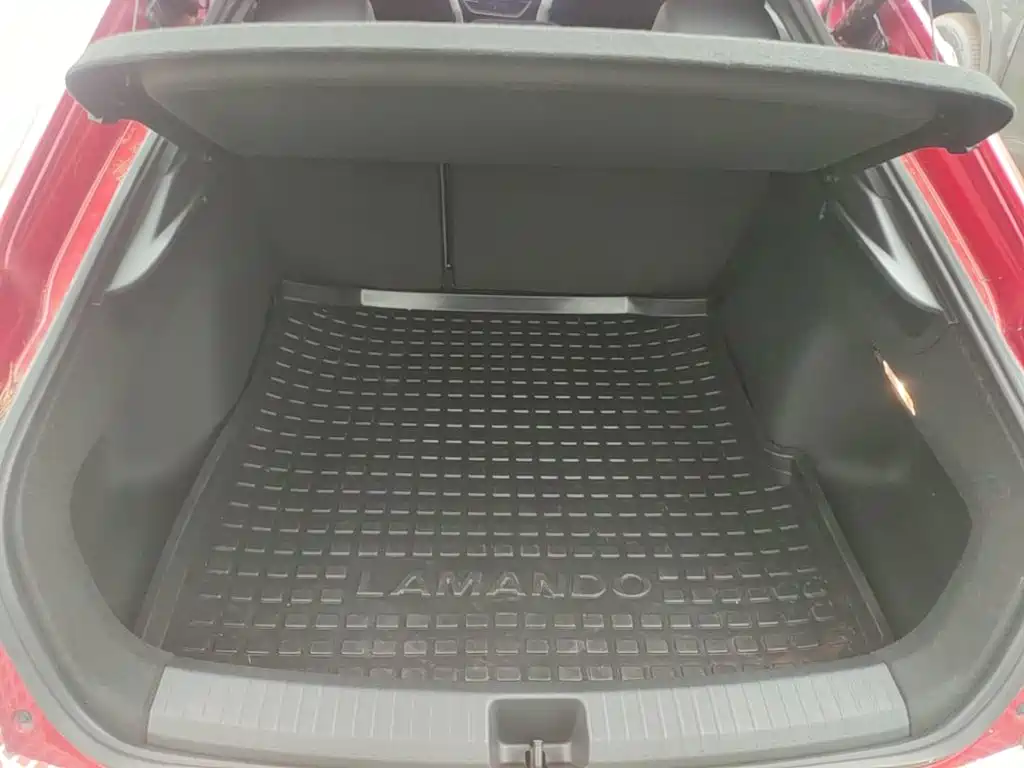 Volkswagen Lamando — миниатюра 19