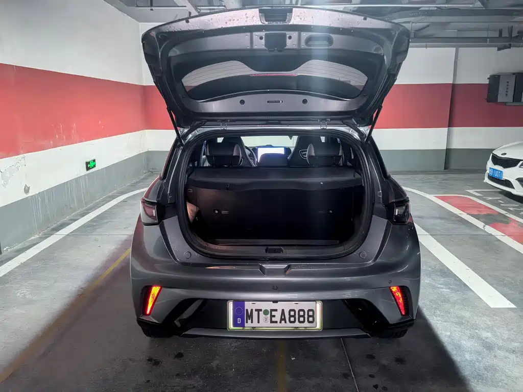 BYD Dolphin — миниатюра 12