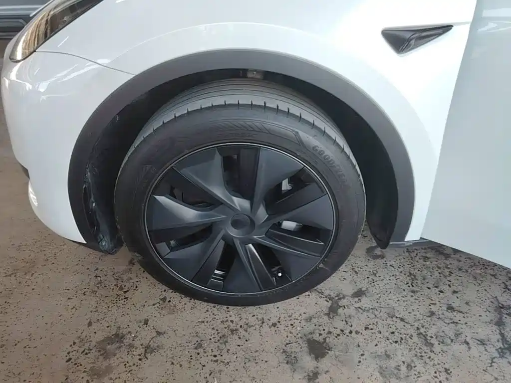 Tesla Model Y — миниатюра 23
