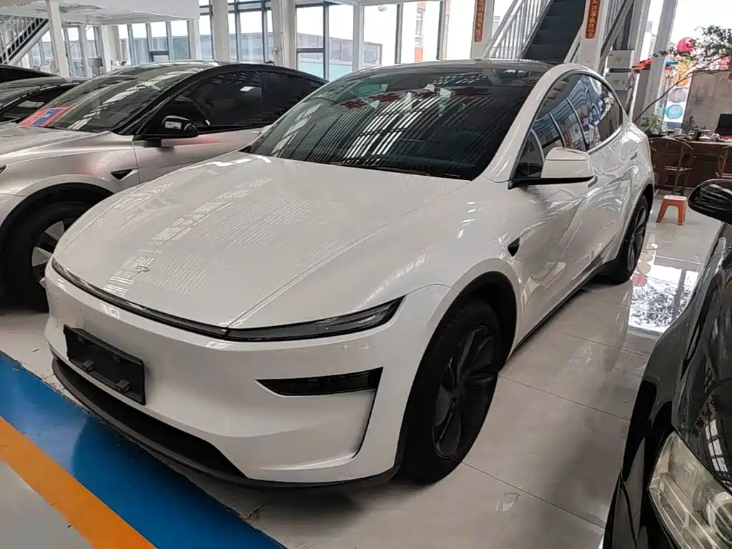 Tesla Model Y — миниатюра 2
