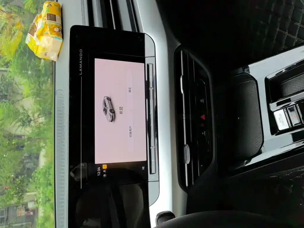 Volkswagen Lamando — миниатюра 9
