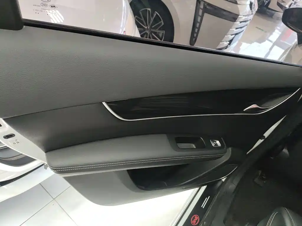BYD MAX — миниатюра 22