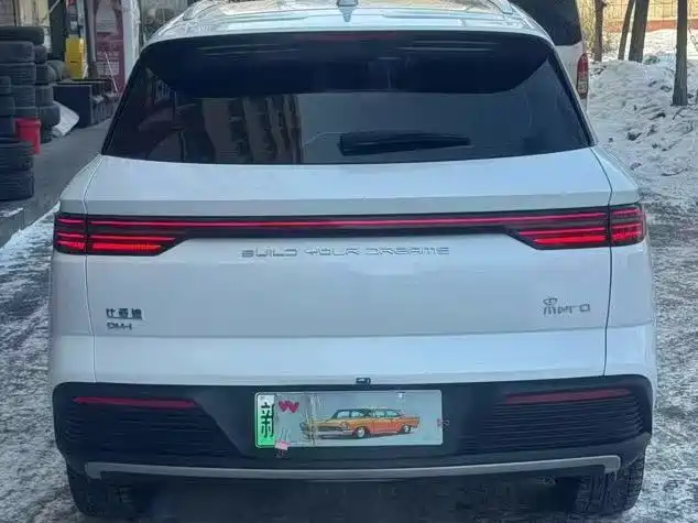 BYD SONGJIANG NEW ENERGY