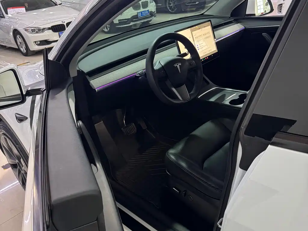 Tesla Model Y — миниатюра 4