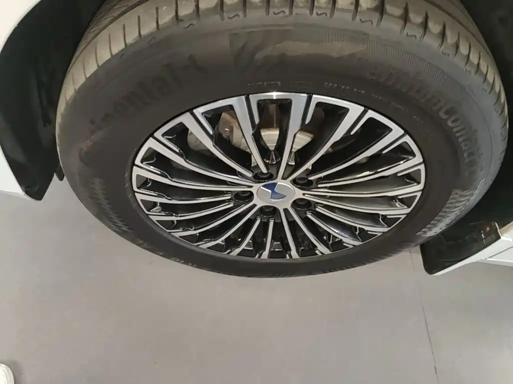 Denza Denza D9 — миниатюра 23