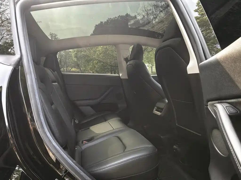 Tesla Model Y — миниатюра 14