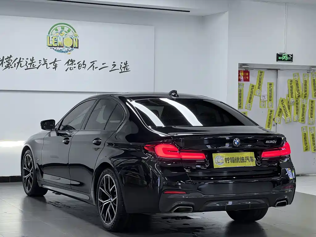BMW 5 Series (Import) — миниатюра 7