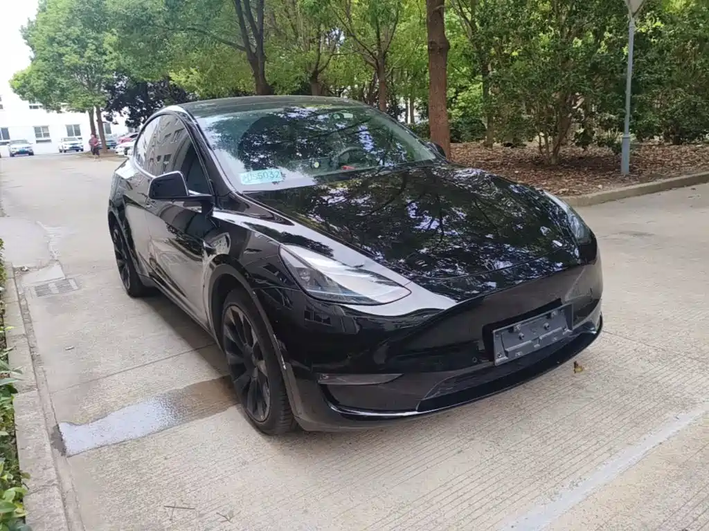 Tesla Model Y — миниатюра 4