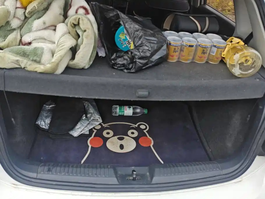 Volkswagen Polo — миниатюра 4