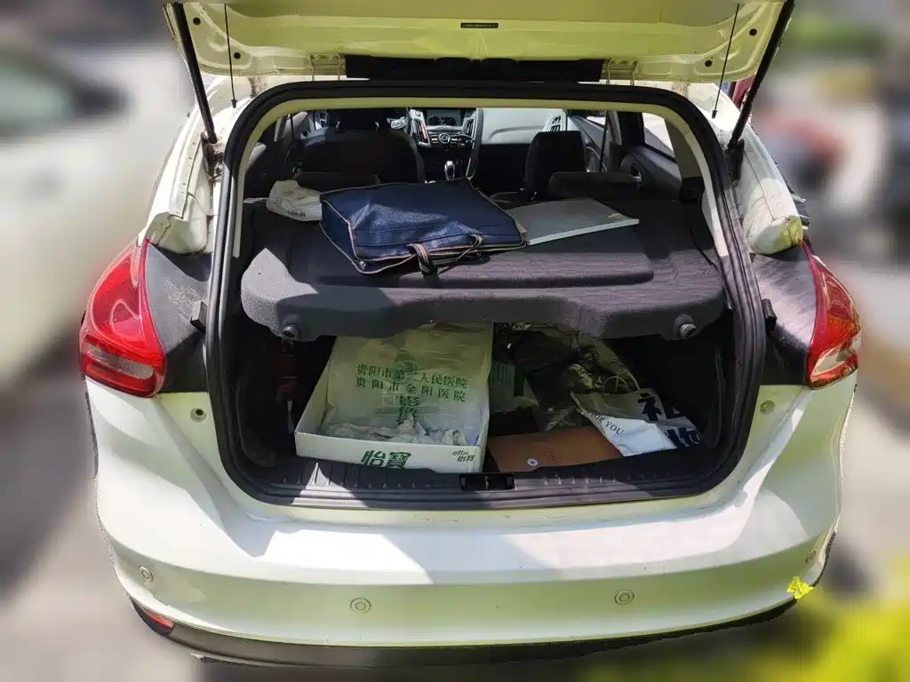Ford Focus — миниатюра 10