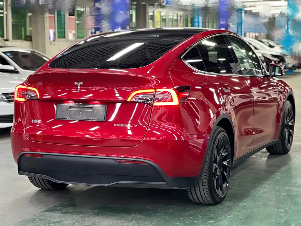 Tesla Model Y — миниатюра 7