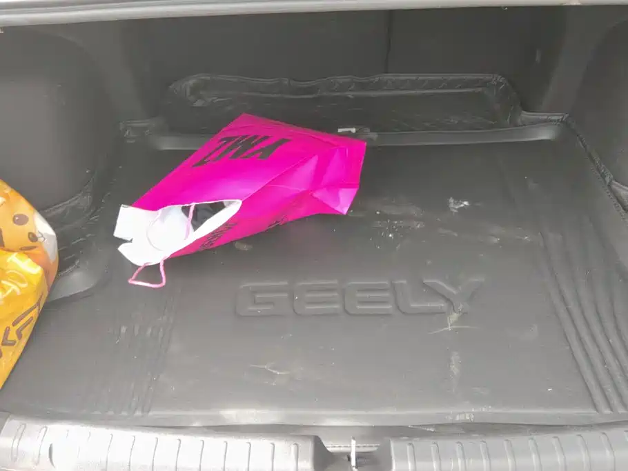 Geely Emgrand — миниатюра 4
