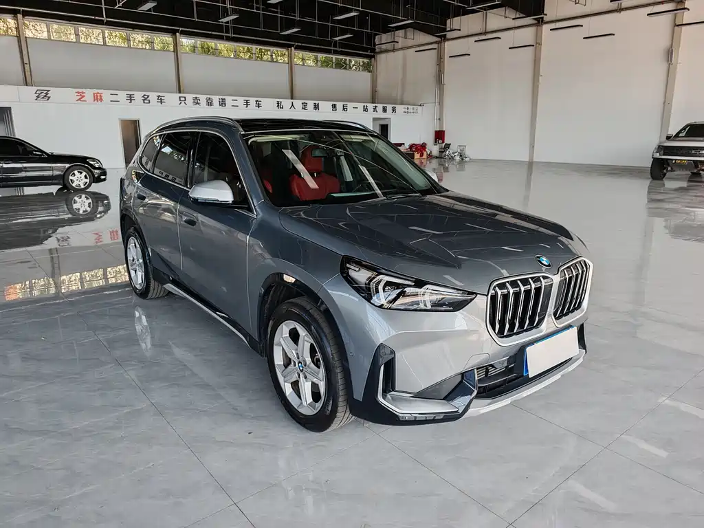 BMW X1 — миниатюра 2