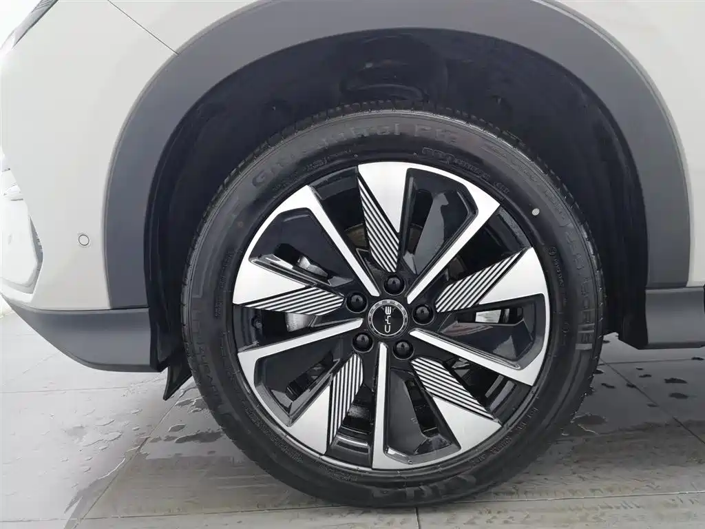 BYD SONGJIANG NEW ENERGY