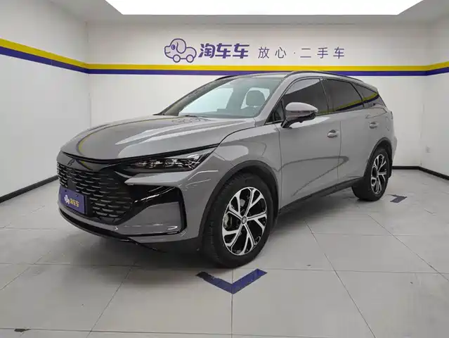 BYD TANGXIN ENERGY 2025