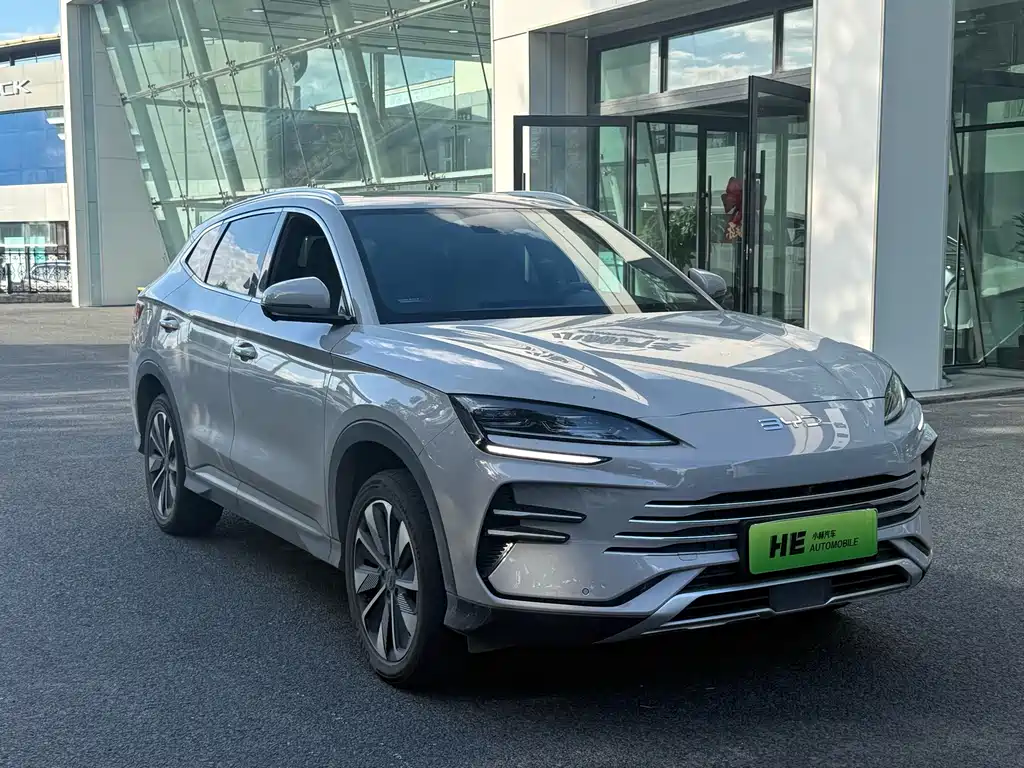 BYD PLUS New Energy — миниатюра 3