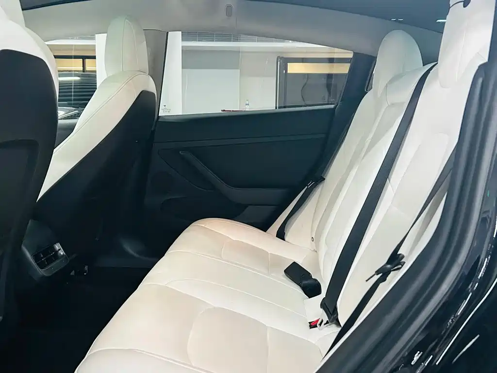 Tesla Model 3 — миниатюра 8