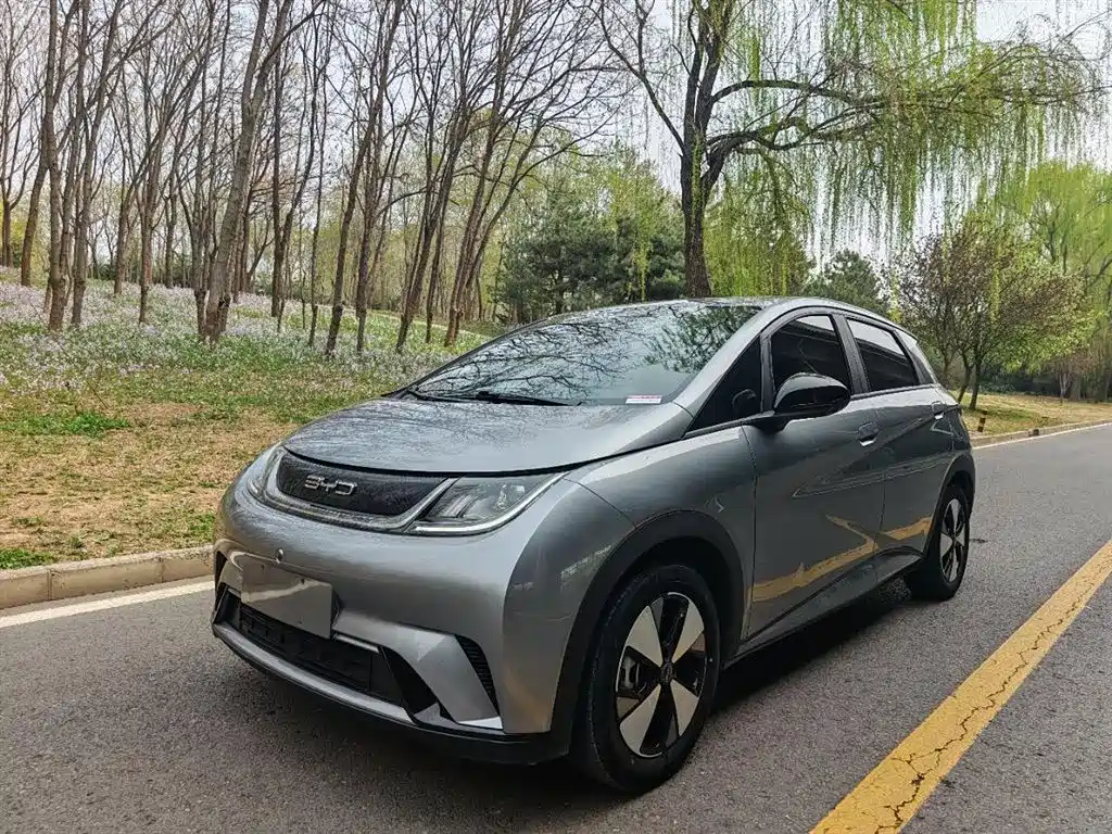 Byd Dolphin 2024