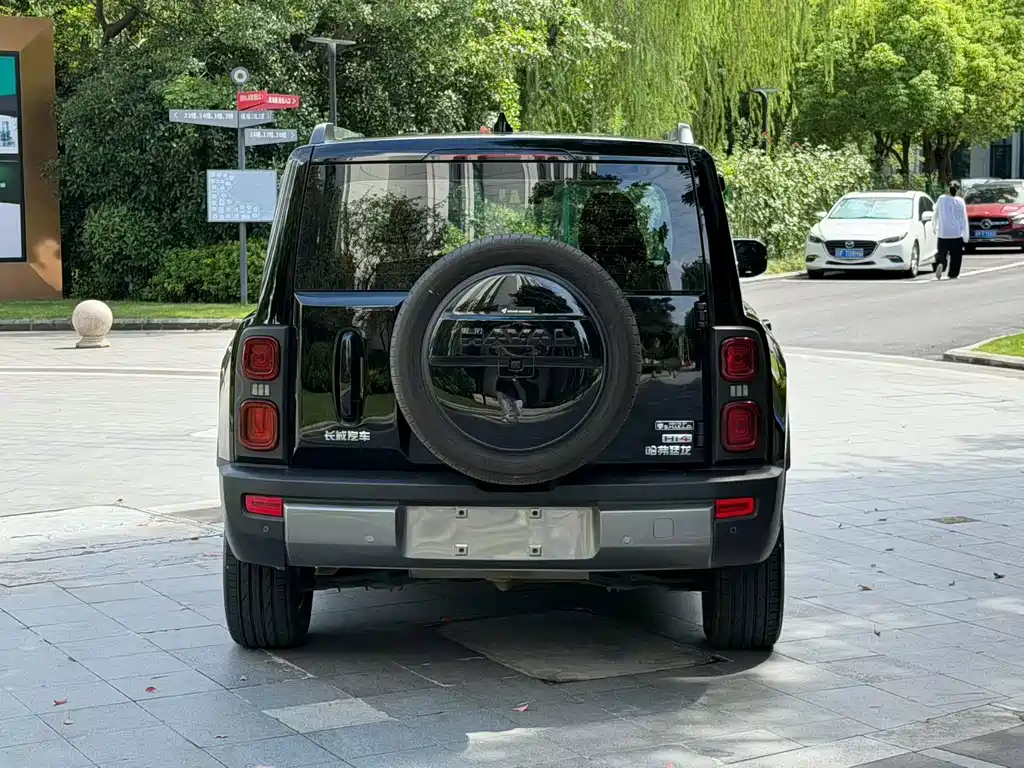 Haval Menglong New Energy — миниатюра 4