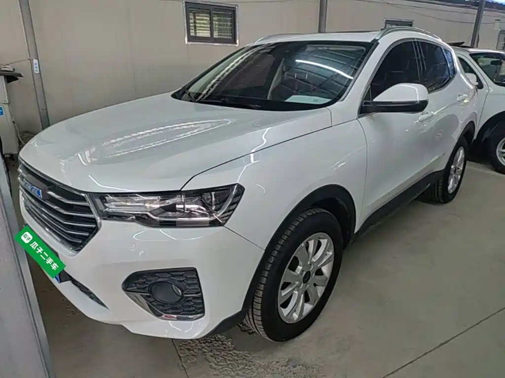 Haval H4 — миниатюра 2