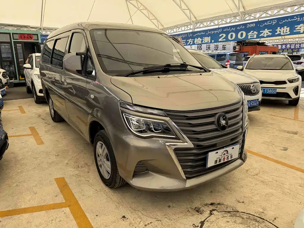 Fengxing Lingzhi — миниатюра 3