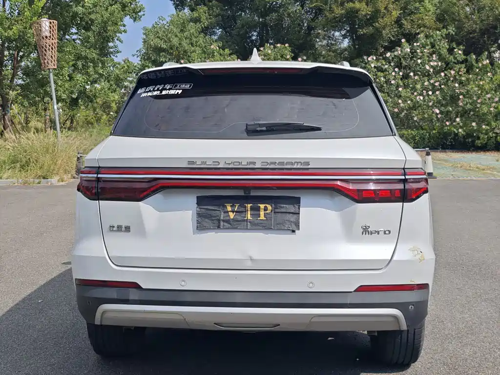 BYD Pro — миниатюра 15