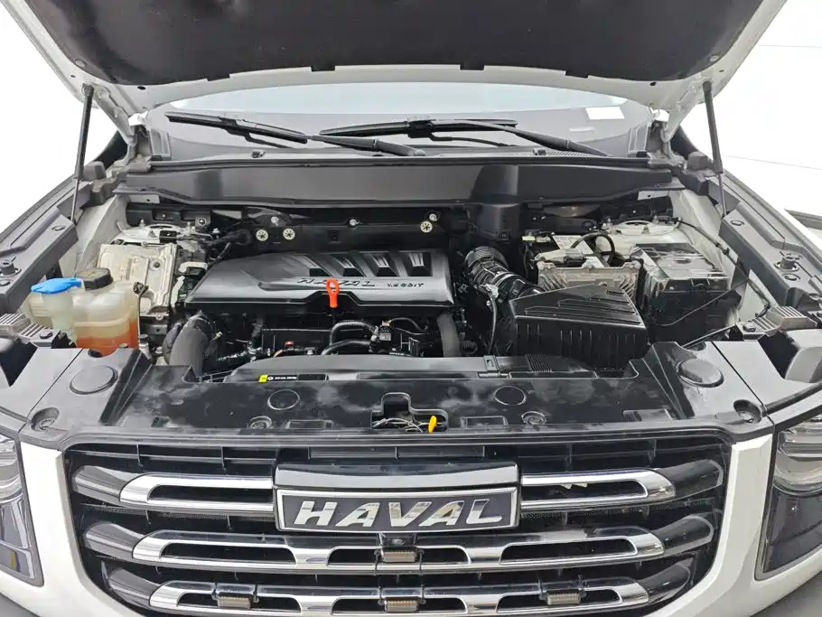 Haval Big Dog — миниатюра 10