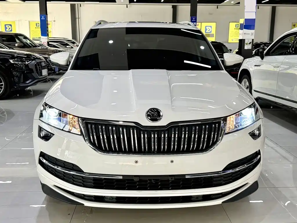Skoda Karoq — миниатюра 2