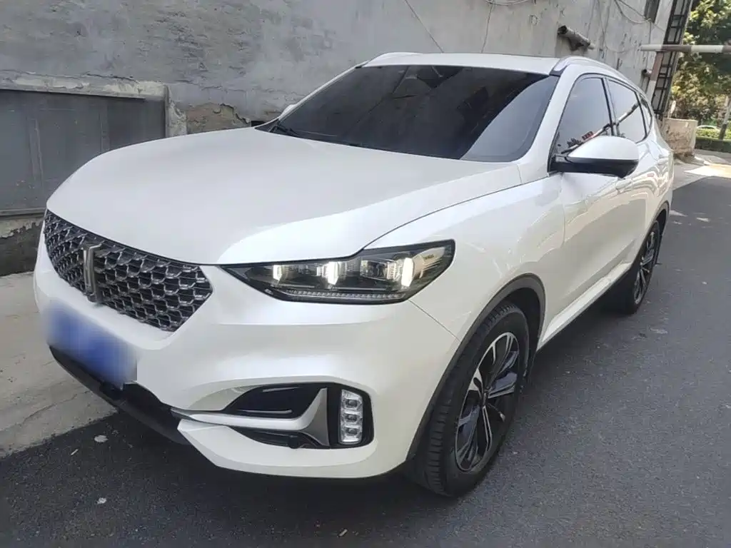 Wey Wey VV6