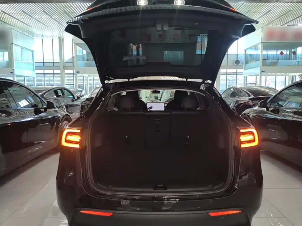 Tesla Model Y — миниатюра 19