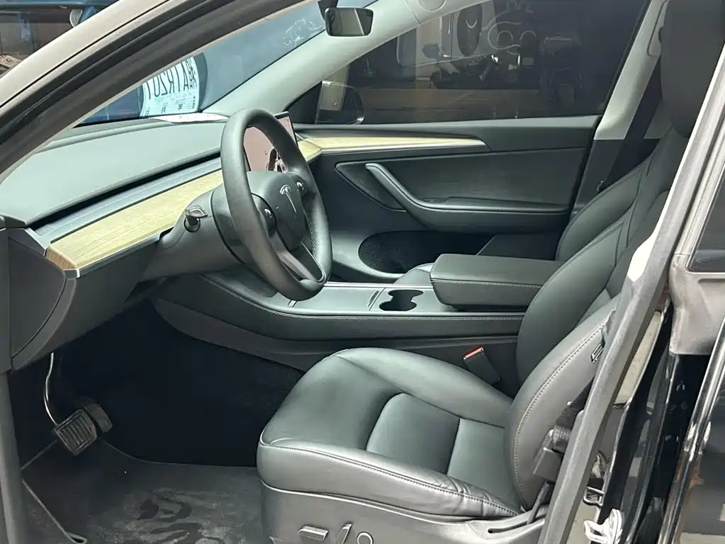 Tesla Model Y — миниатюра 4