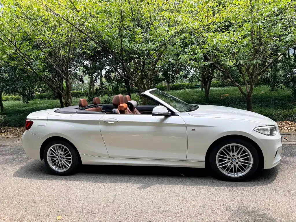 BMW 2 Series (Import) — миниатюра 10