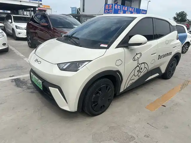 2024 BYD Seagull