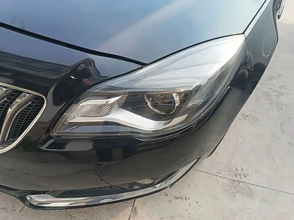 Buick Regal — миниатюра 18